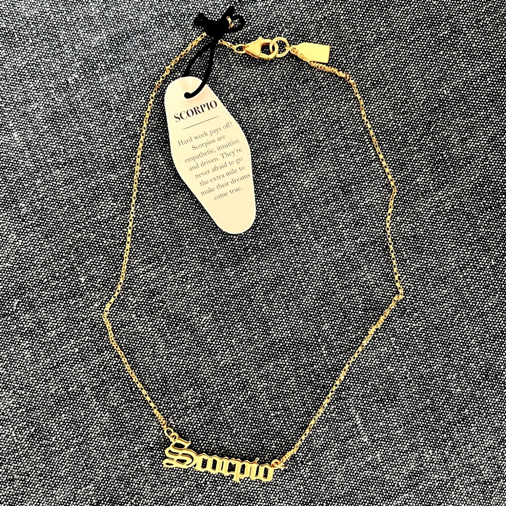 Scorpio Necklace (14k plated)
